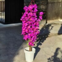 Artificial-Blossom-Plant-Pink
