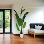 Banana Breeze Plant - Image 4