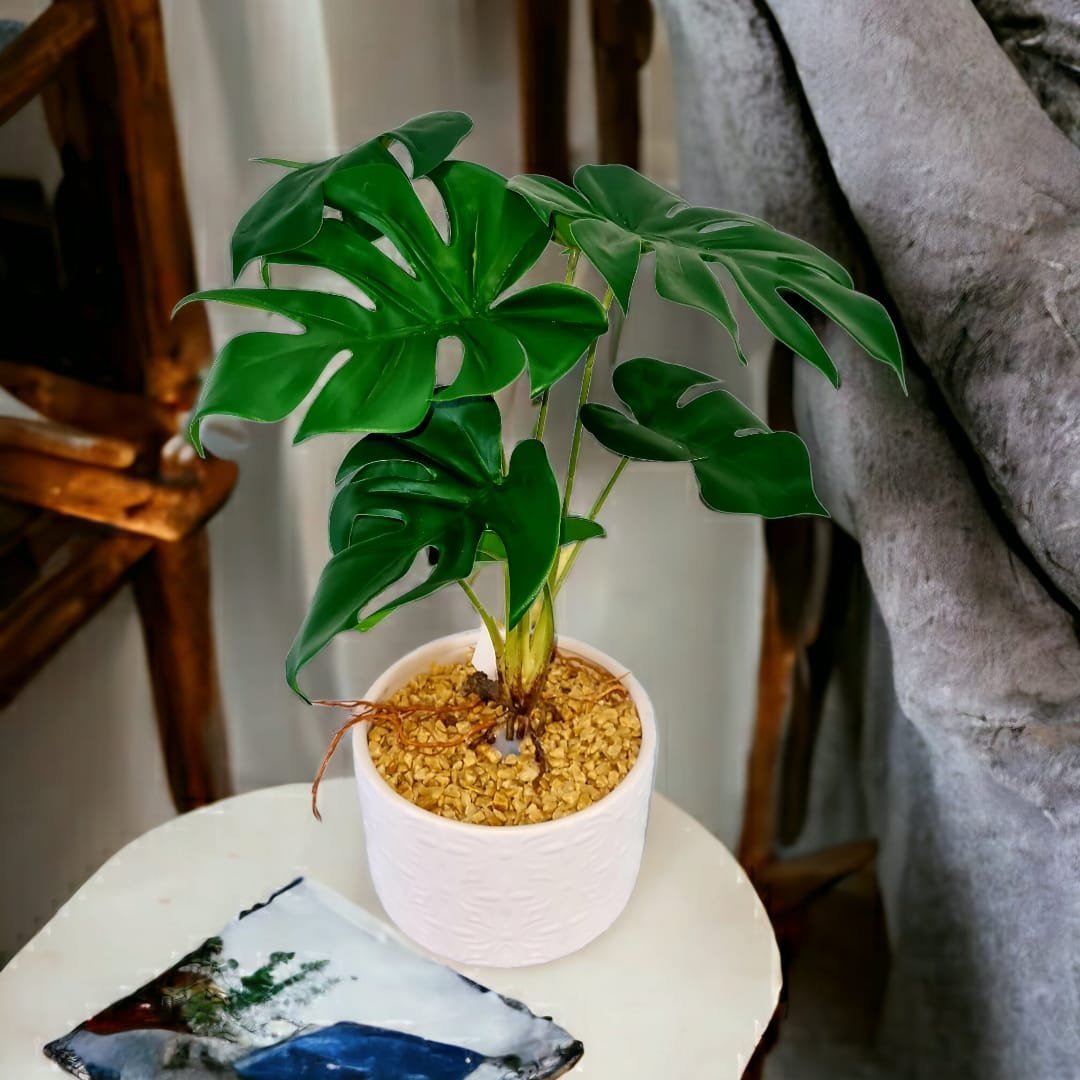 Monstalia-Plant-in-Ceramic-Pot.jpeg Monstera Artificial Plant in Ceramic Pot - Image 1