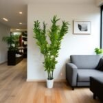 Emerald Bamboo Plant - Image 2